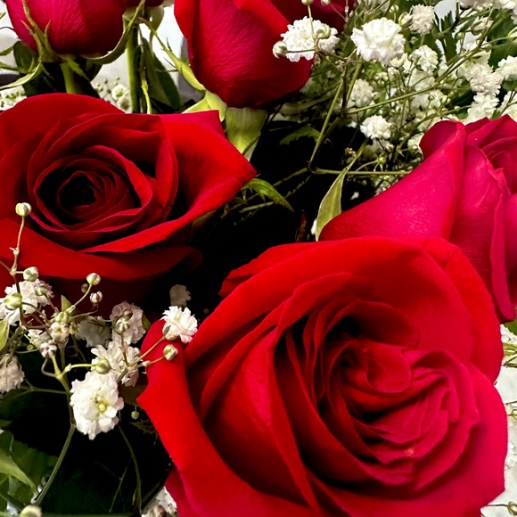 Meet your Posher, Cindy - Picture 1 of 1